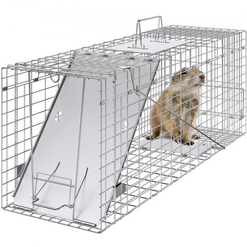 Live Animal Cage Trap, 31' x 10' x 12' Humane Cat Trap Galvanized Iron, Folding Animal Trap with Handle for Rabbits, Stray Cats, Squirrels, Raccoons, Groundhogs and Opossums