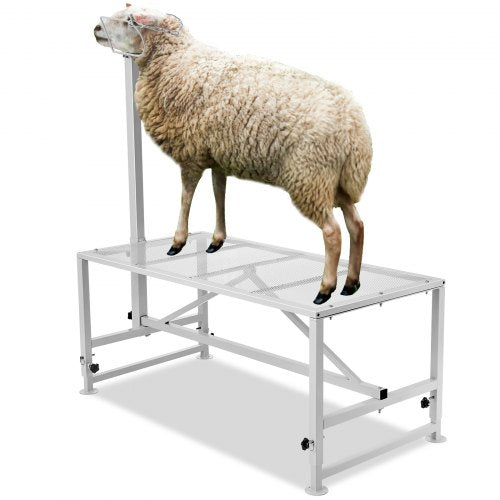 Goat & Sheep Stand, 51x23 inch Livestock Stand, Metal Livestock Milking and Shearing Stand 21' to 33' Adjustable Height, with Headpiece and Nose Loop, 500lbs Loading Weight, White