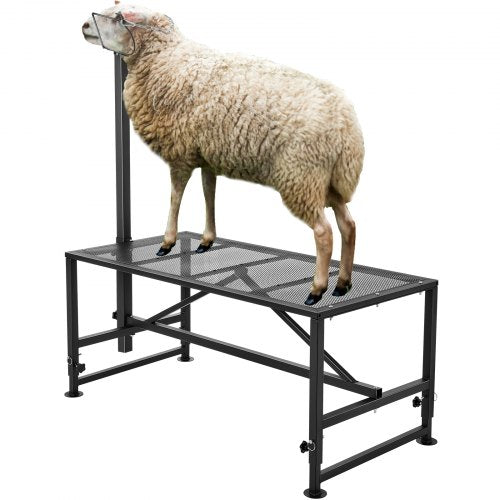 Goat & Sheep Stand, 47x23 inch Livestock Stand, Metal Livestock Milking and Shearing Stand 21' to 33' Adjustable Height, with Headpiece and Nose Loop, 500lbs Loading Weight, Black